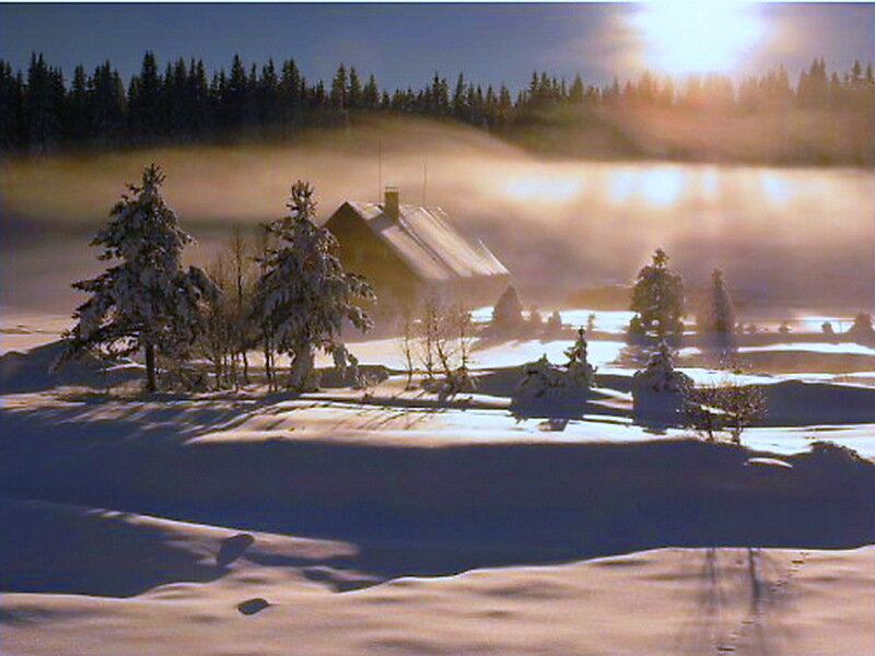 Cabin in Snowy Landscape — White, Serene, Winter, Photograph, Snow