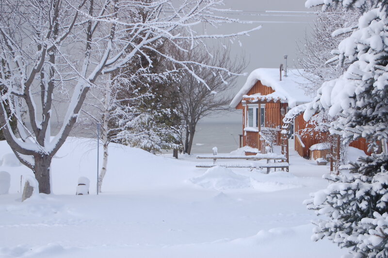 Cabin in Snowy Landscape — White, Serene, Winter, Photograph, Trees, Snow