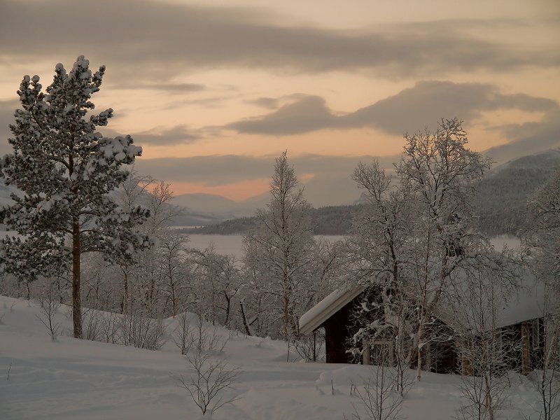 Cabin in Snowy Landscape — White, Serene, Winter, Photograph, Trees