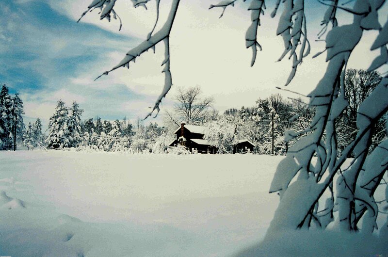 Cabin in Snowy Landscape — White, Serene, Winter
