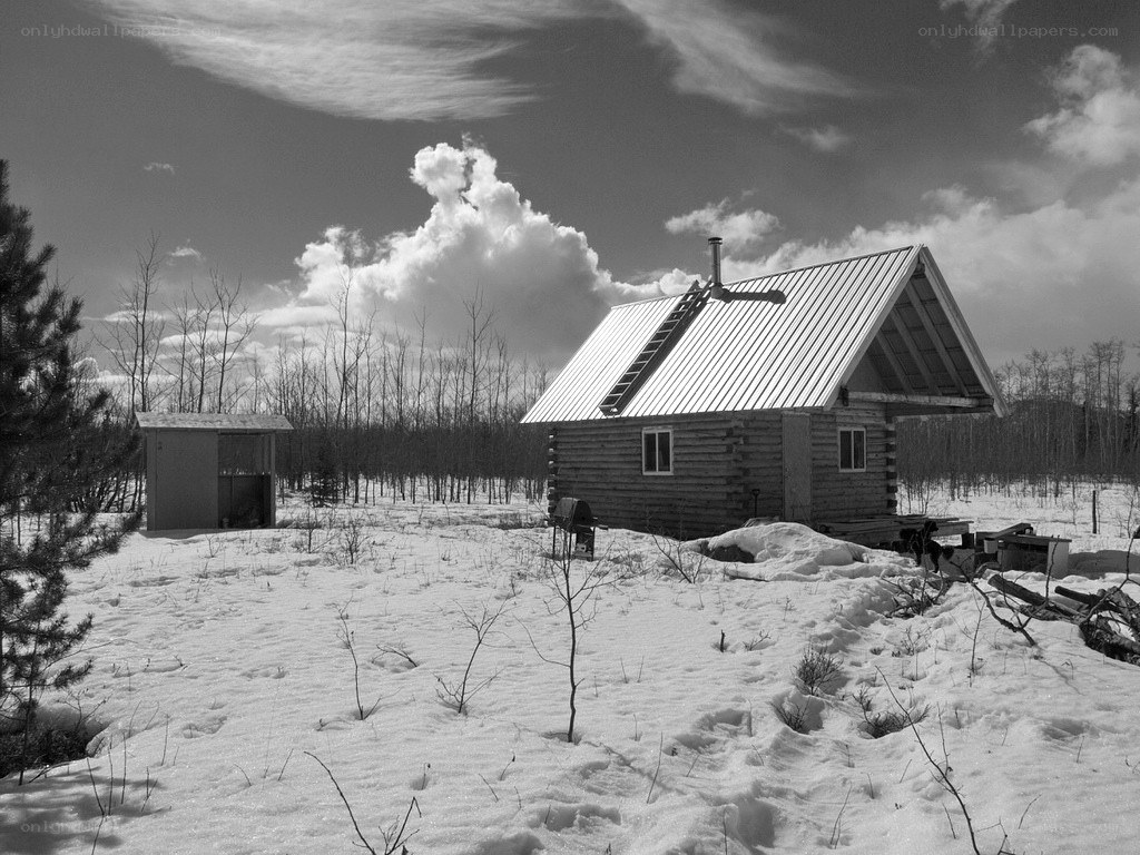 Cabin in snowy landscape