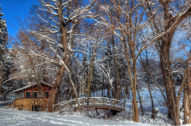 Cabin in Snowy Woods — Blue, Serene