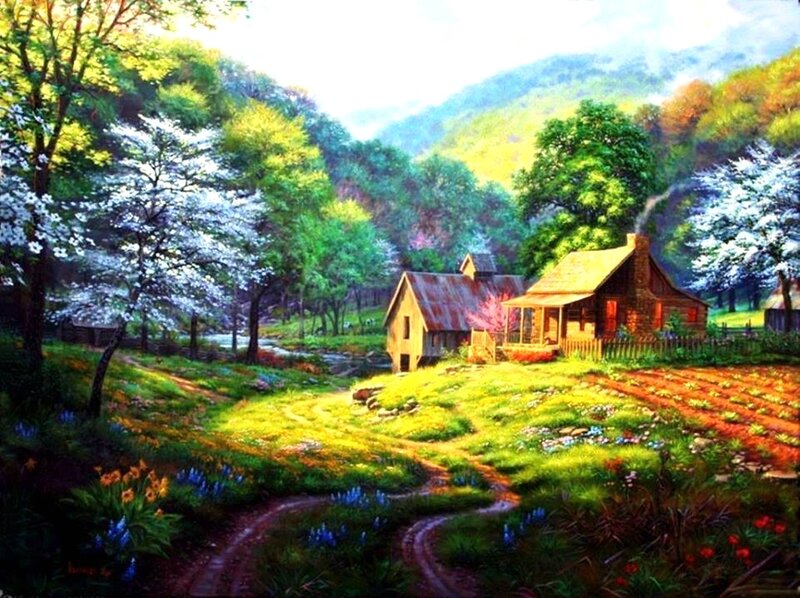 Cabin in Spring Valley