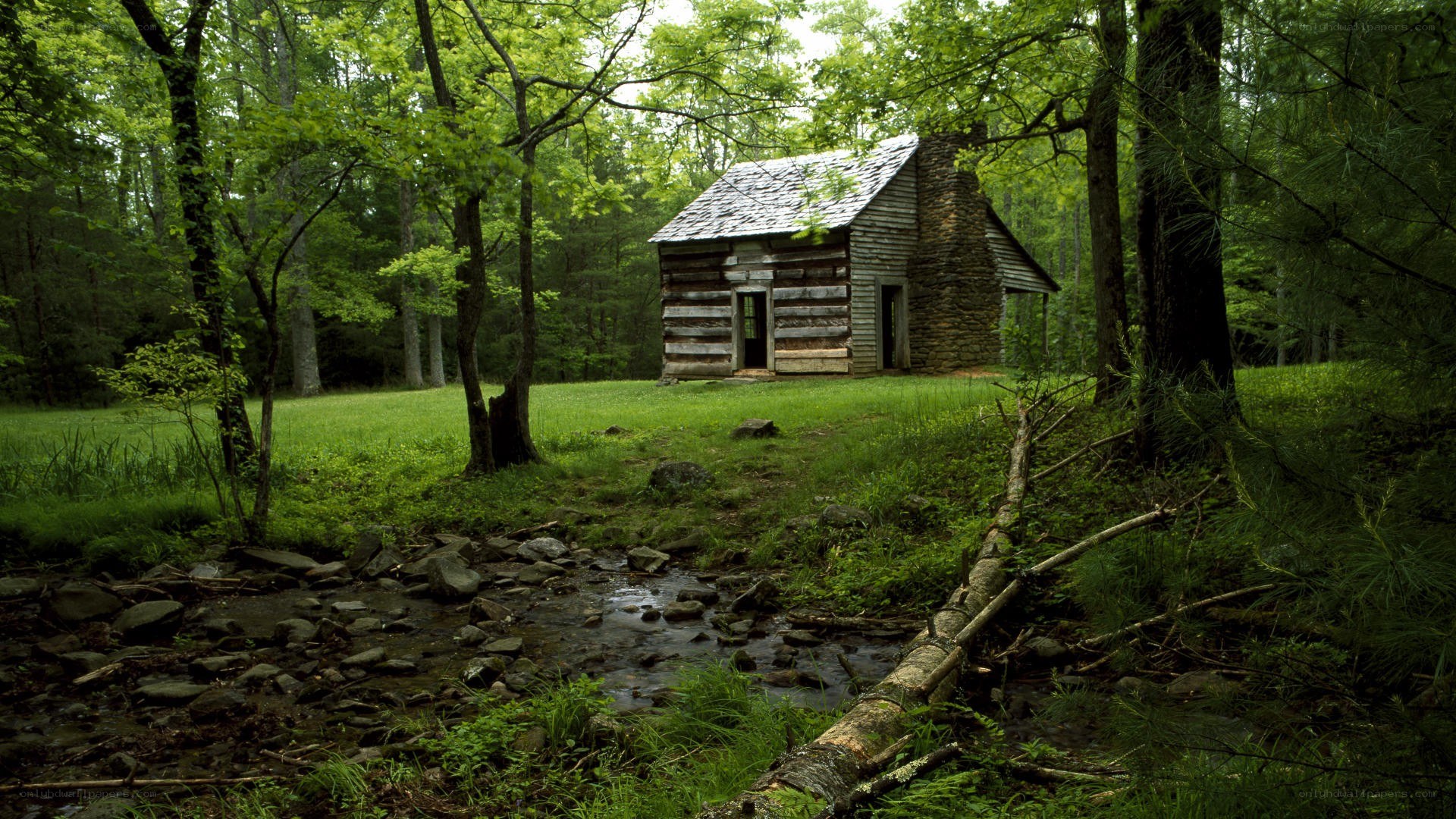 Cabin in the forest