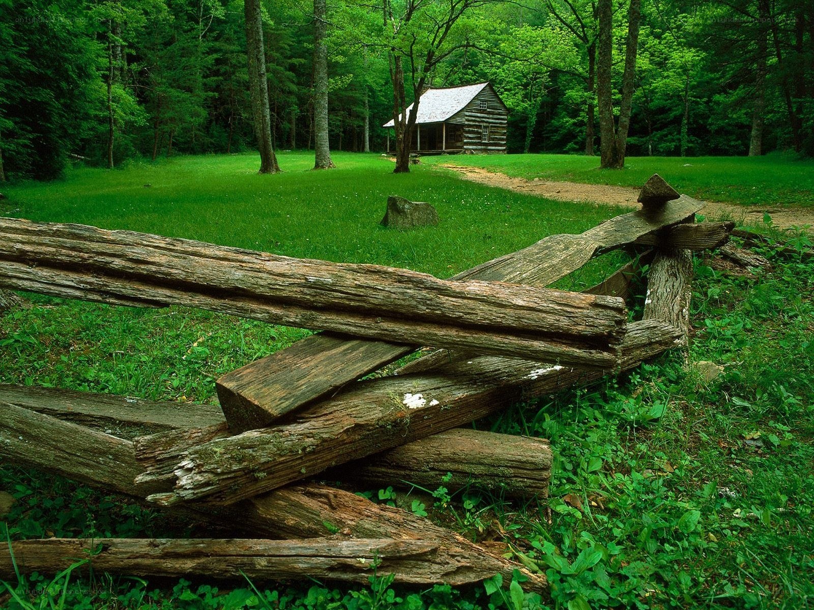 Cabin in the forest
