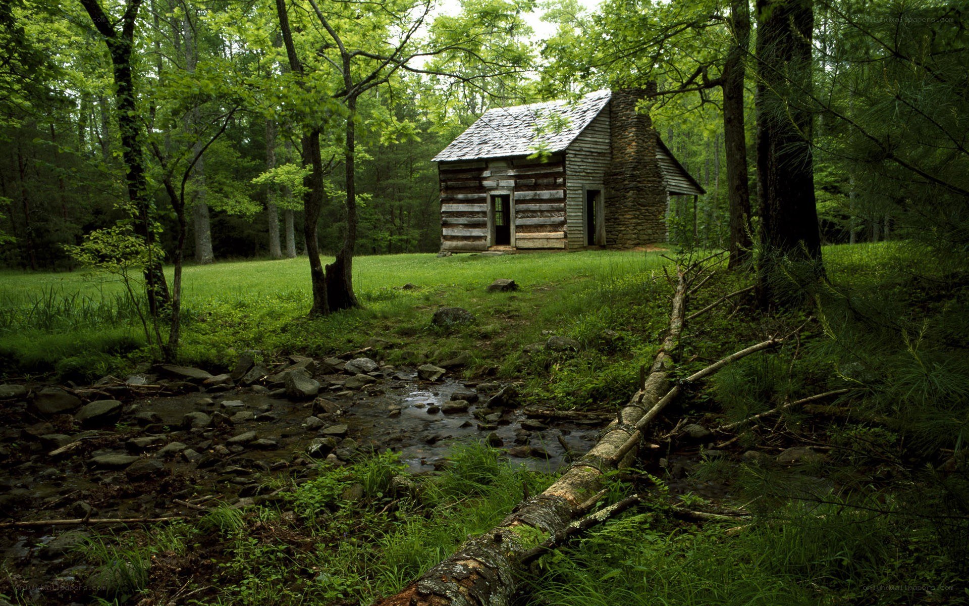 Cabin in the forest