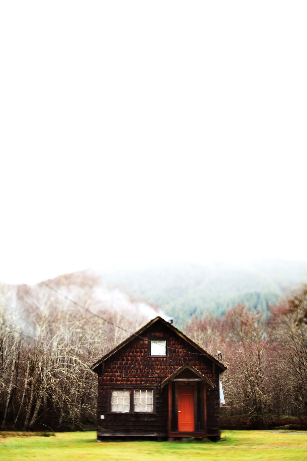 Cabin in the forest