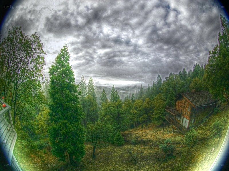 Cabin in the forest