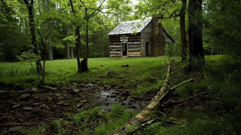 Cabin in the forest