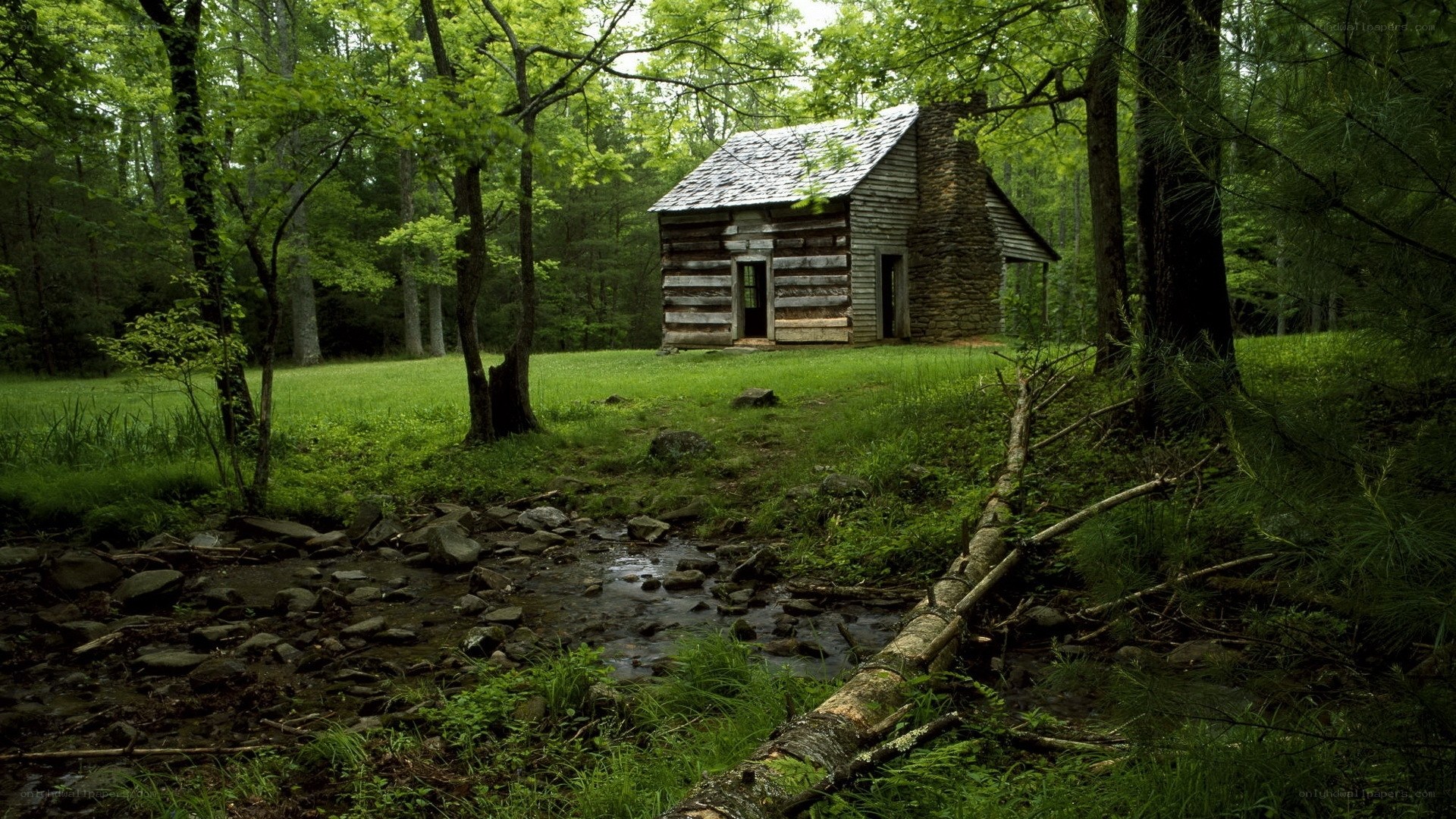 Cabin in the forest