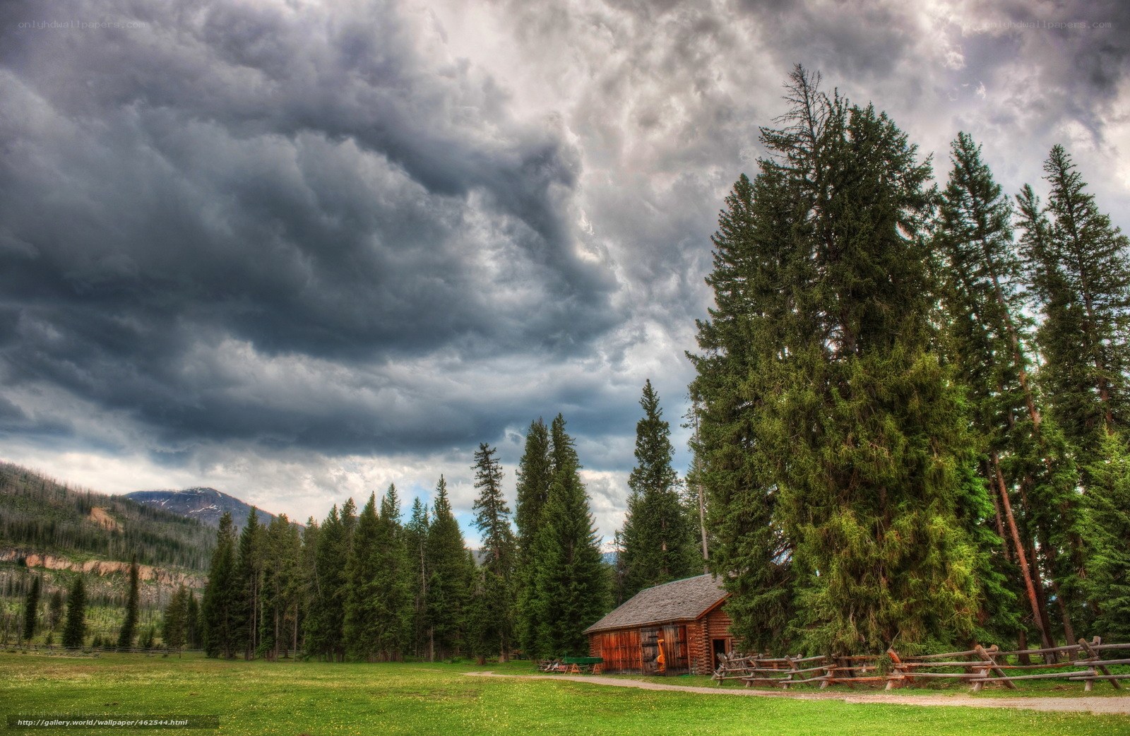 Cabin in the forest