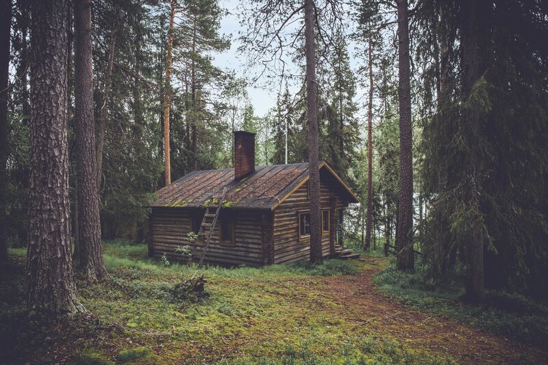 Cabin in the forest