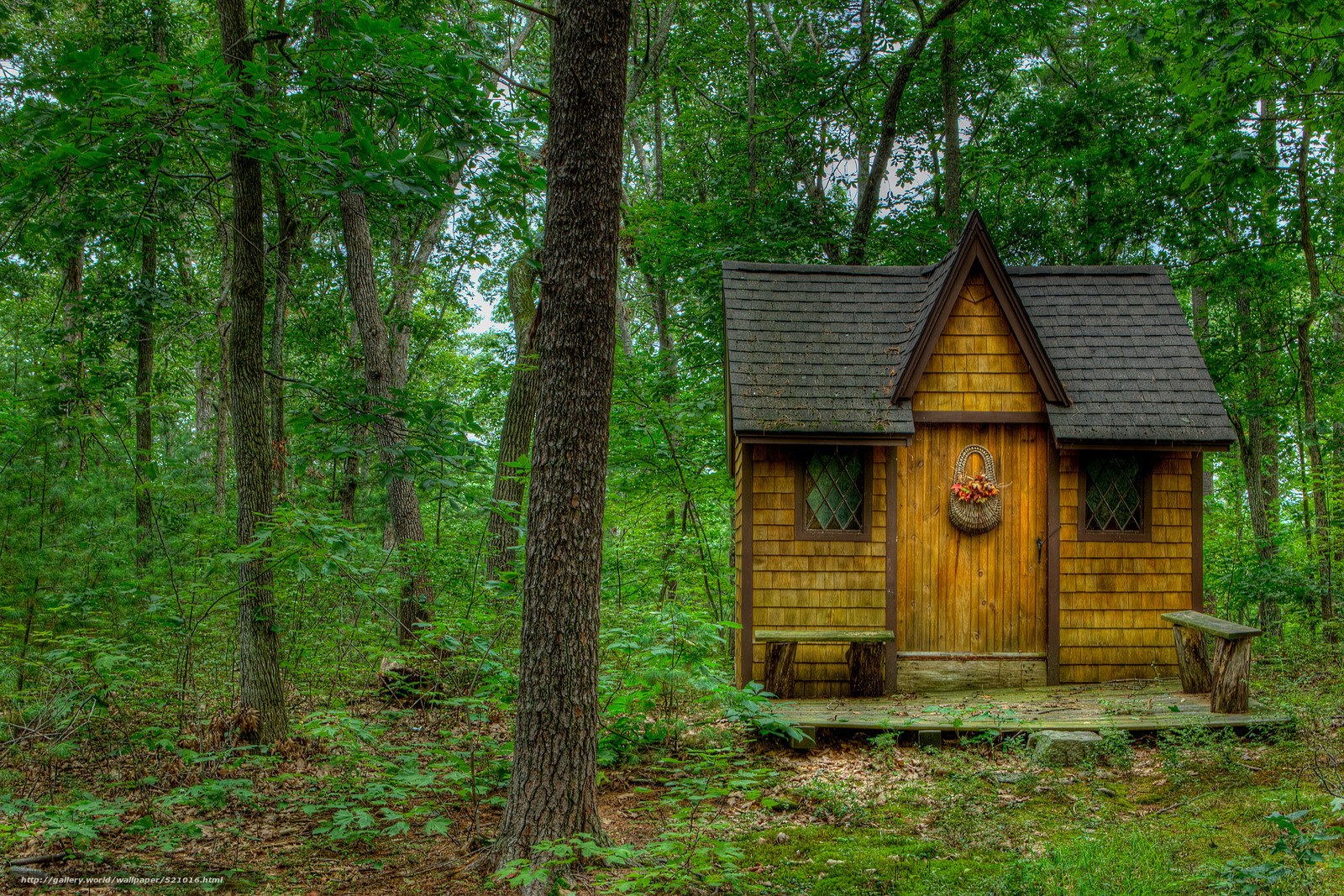 Cabin in the forest