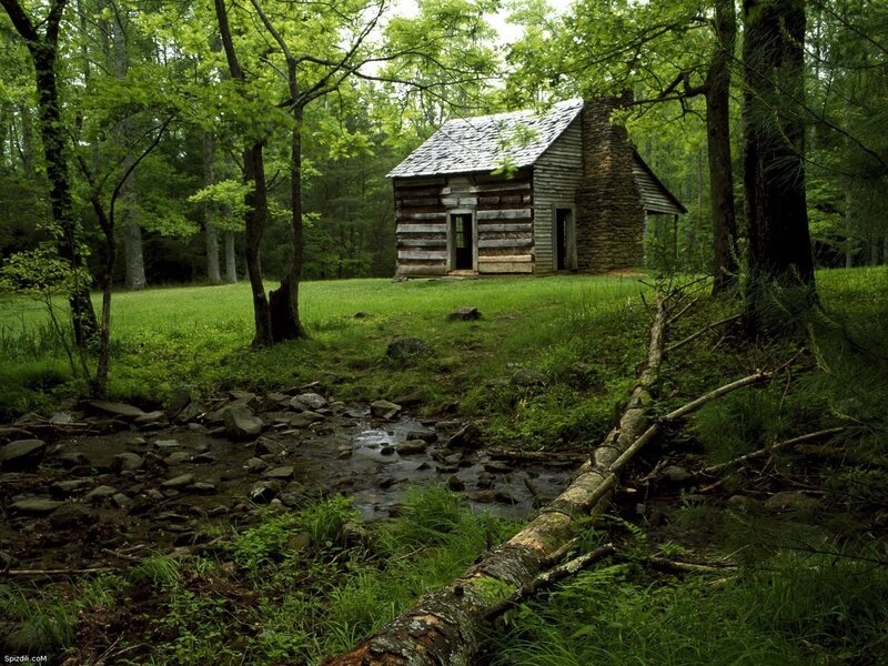 Cabin in the forest