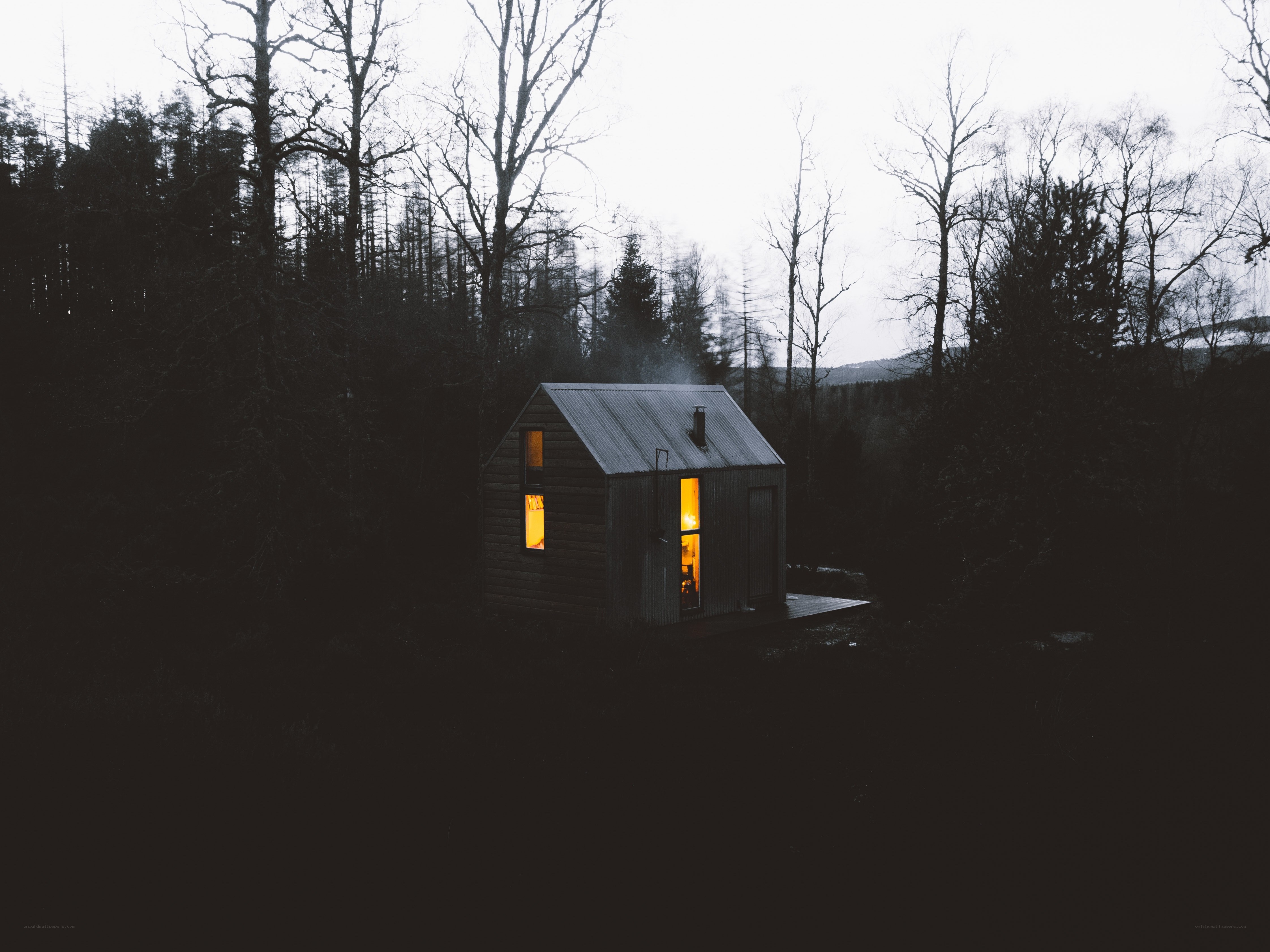 Cabin in the forest at dusk
