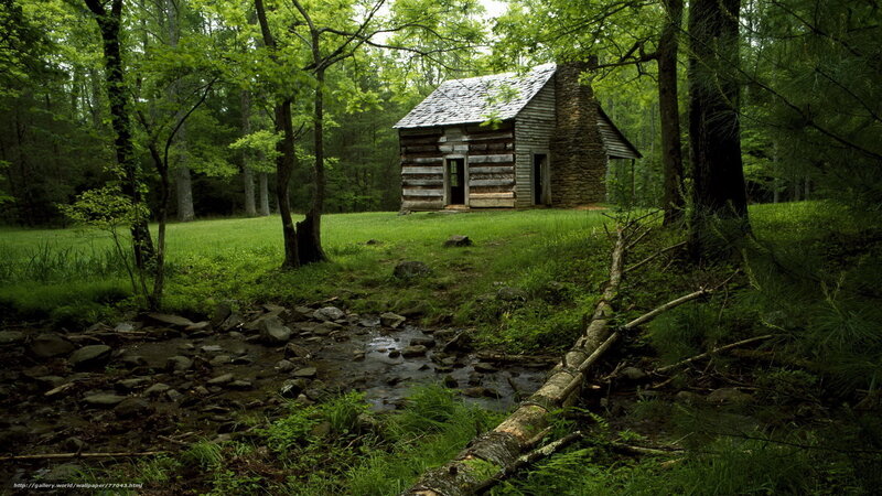 Cabin in the forest