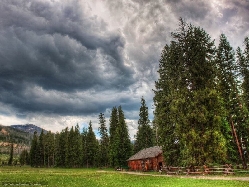 Cabin in the forest under stormy sky