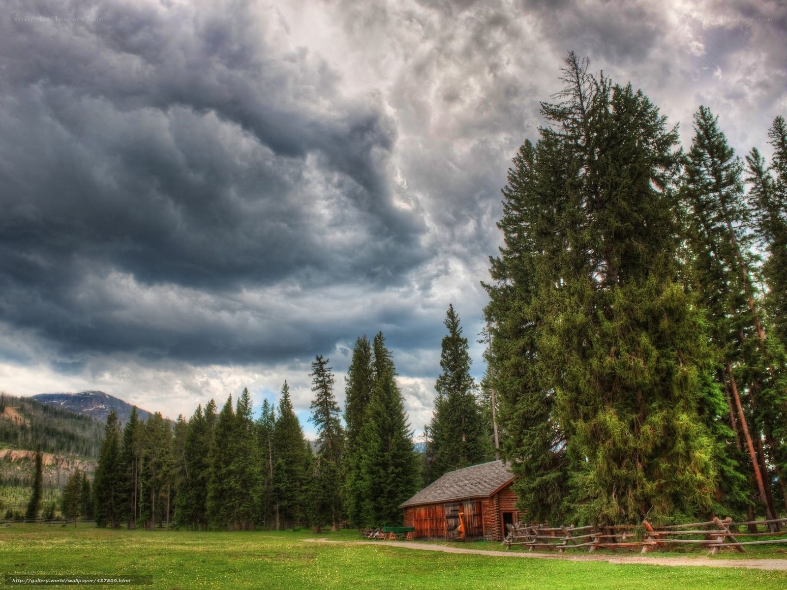 Cabin in the forest under stormy sky