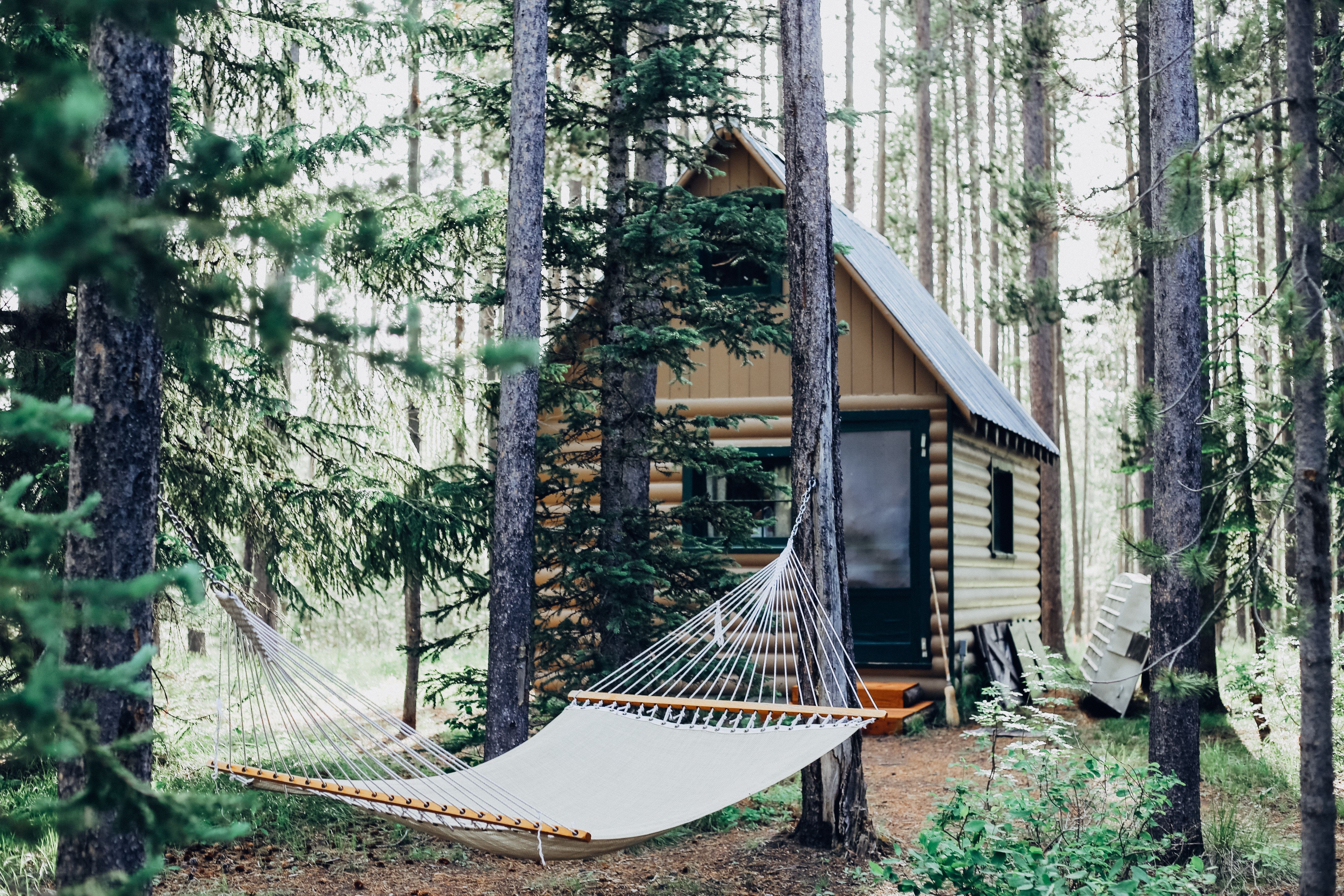Cabin in the forest with hammock