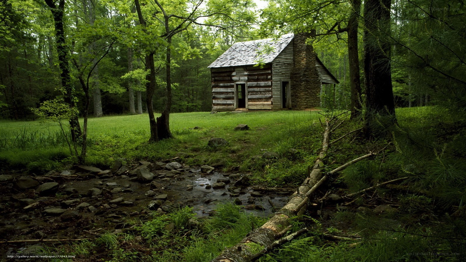 Cabin in the forest