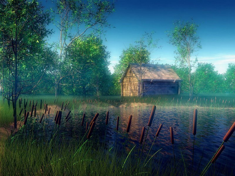 Cabin in the marsh