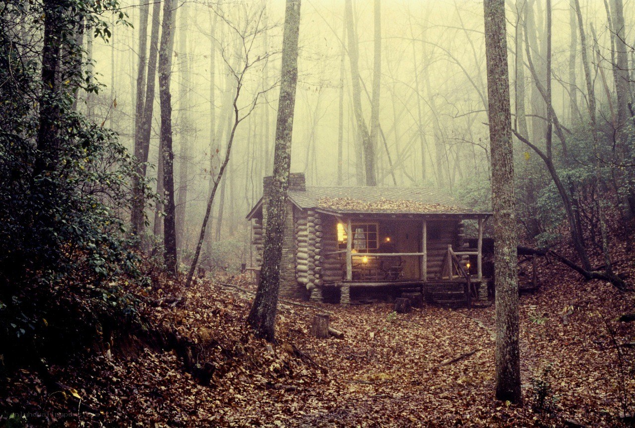Cabin in the misty forest