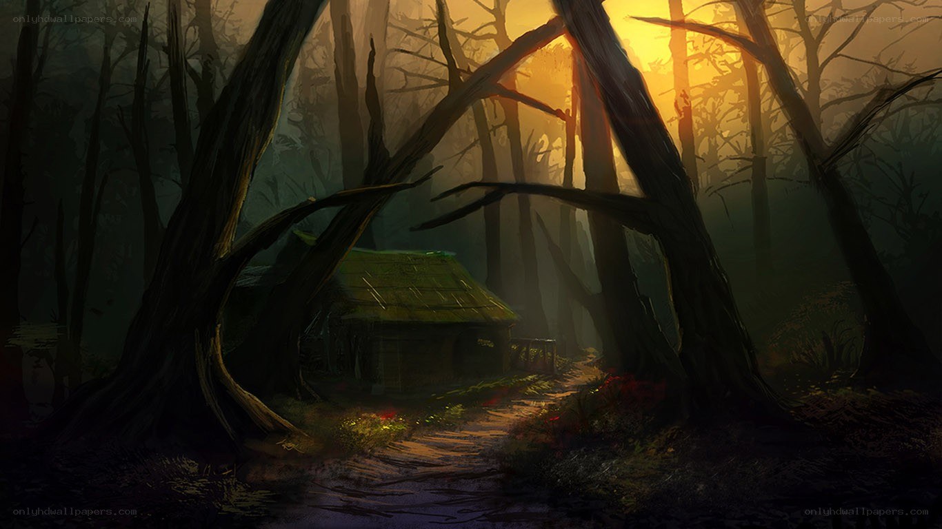 Cabin in the misty forest