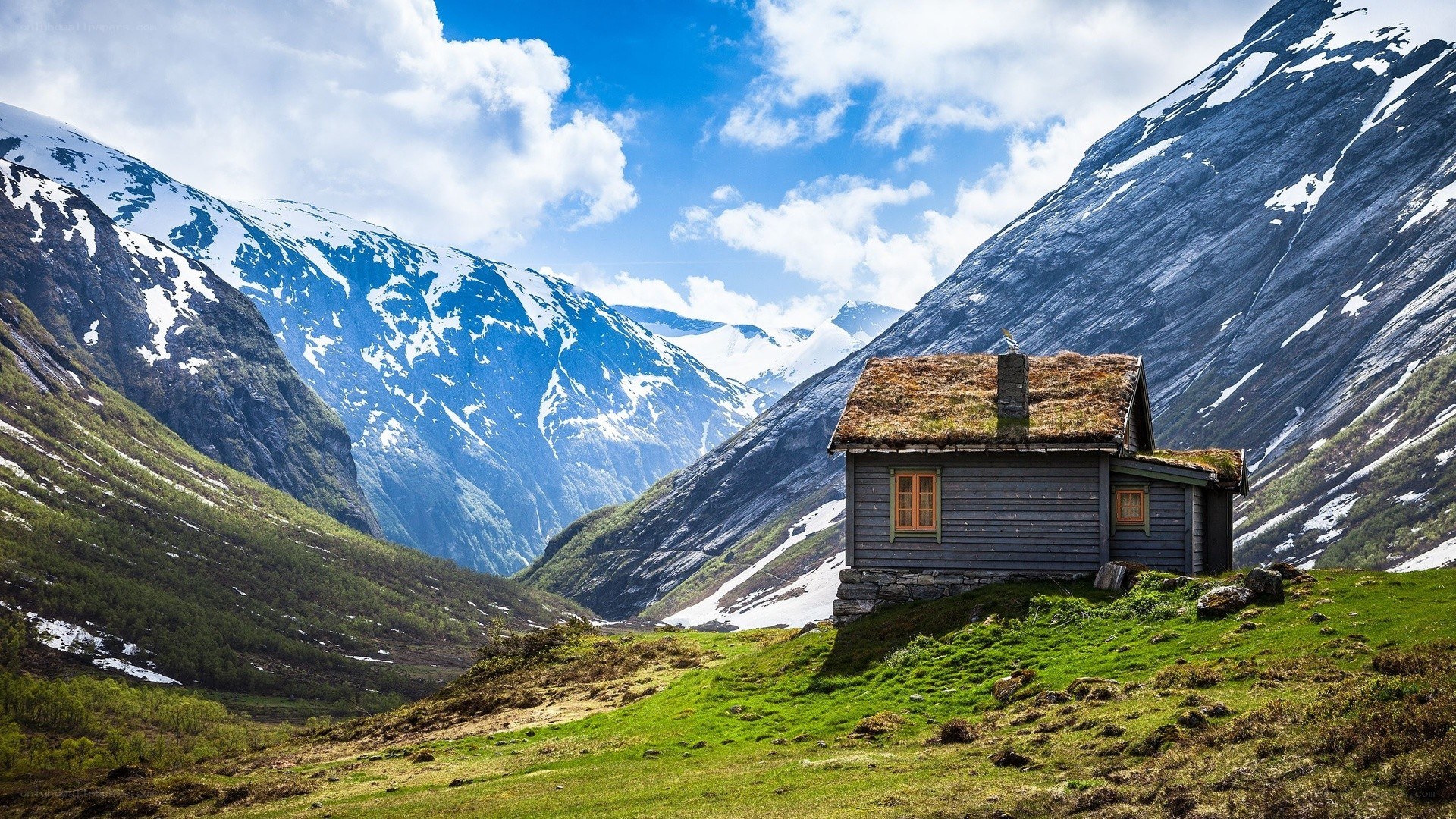 Cabin in the mountains