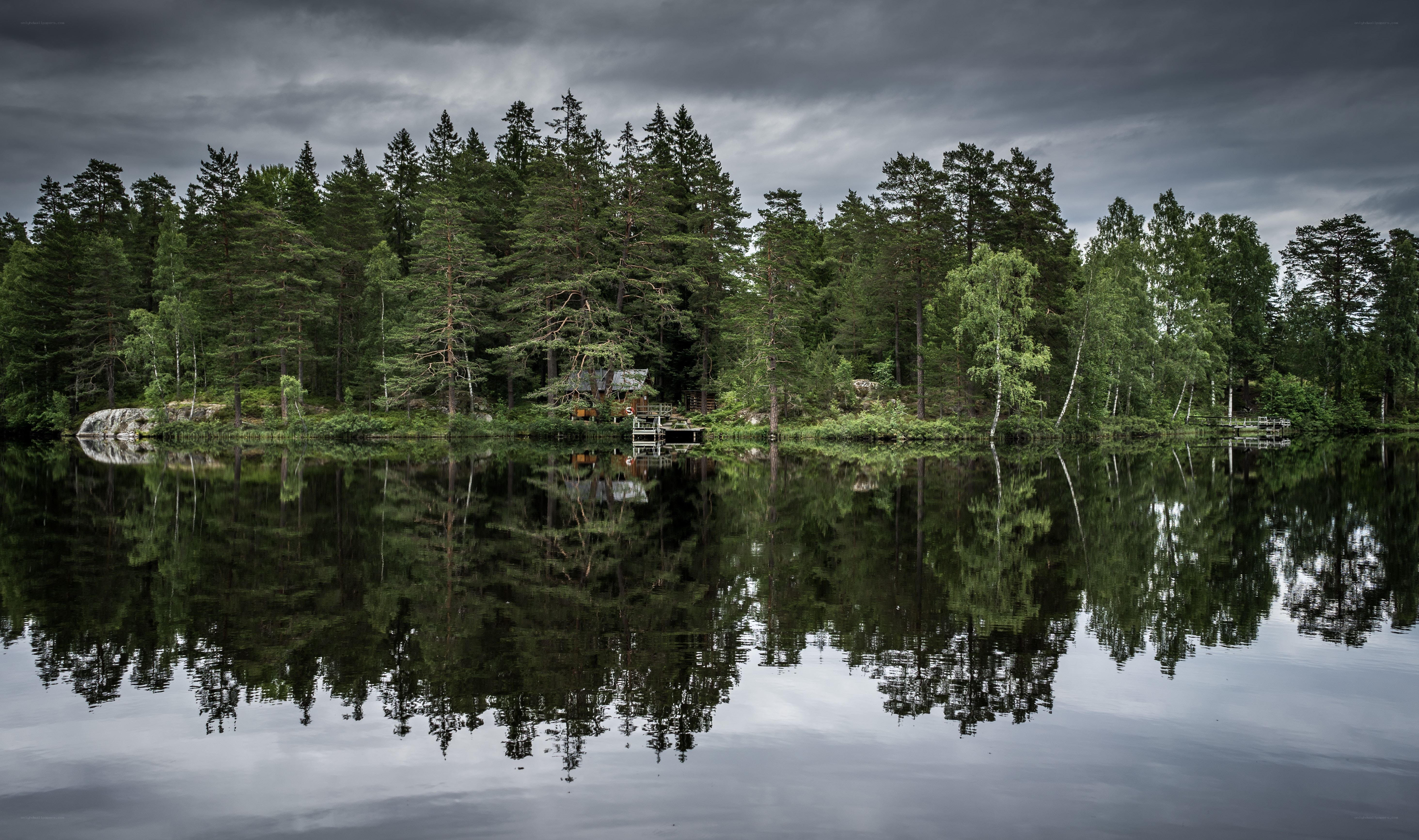 Cabin on a forested lake