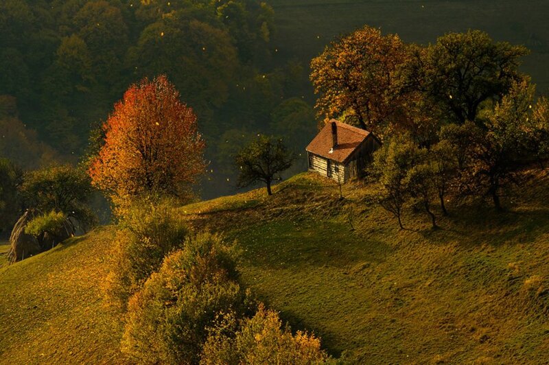 Cabin on a Hill — Green