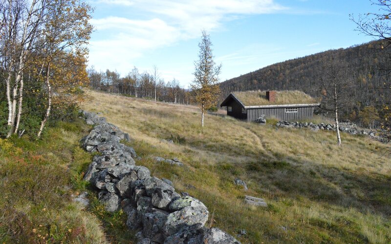 Cabin on a Hillside — Green