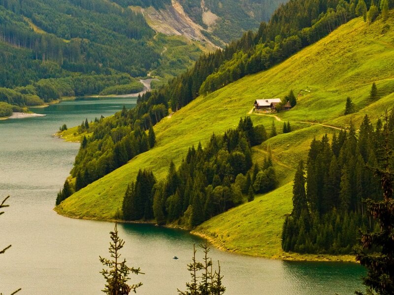 Cabin on Green Hillside — Serene, Afternoon