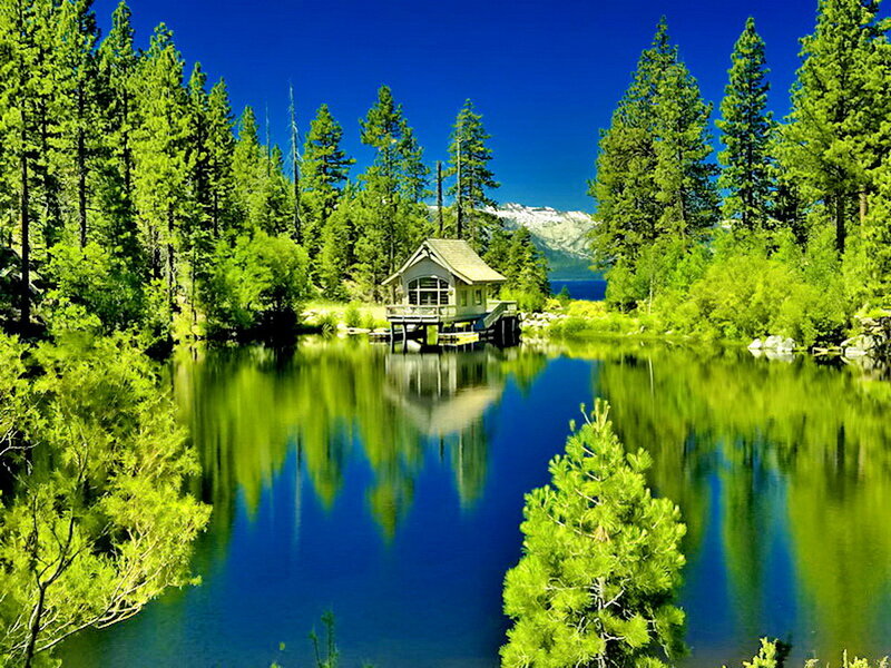 Cabin on Lake Shore — Blue, Serene, Afternoon