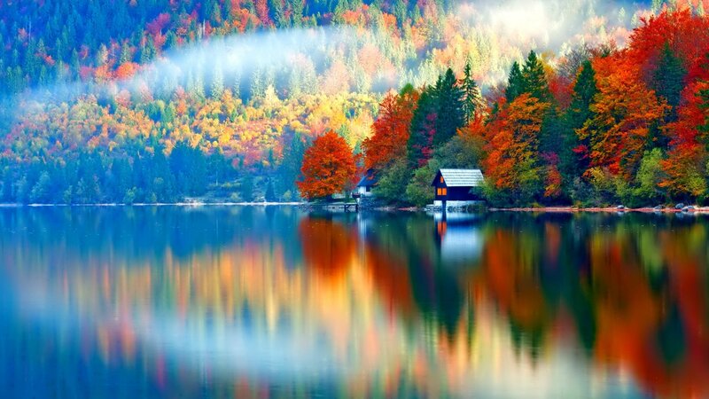 Cabin on Lake Shore — Blue, Serene, Autumn, Photograph, Forest, Mist