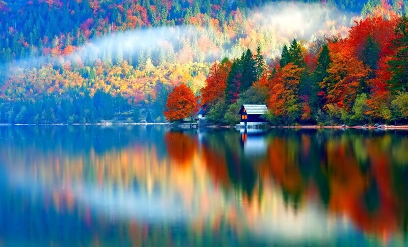 Cabin on Lake Shore — Blue, Serene, Autumn, Photograph, Forest