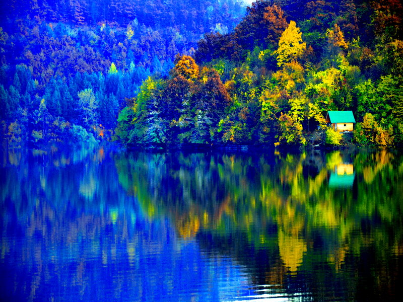 Cabin on Lake Shore — Blue, Serene
