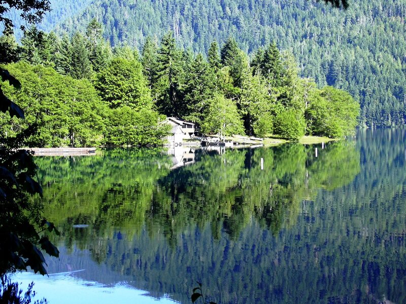 Cabin on Lake Shore — Green, Serene, Afternoon