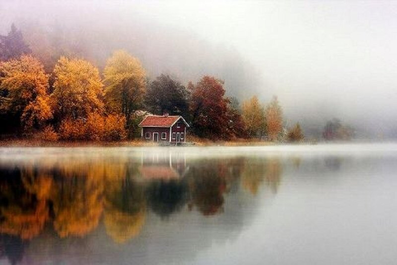 Cabin on Lake Shore — Orange, Serene