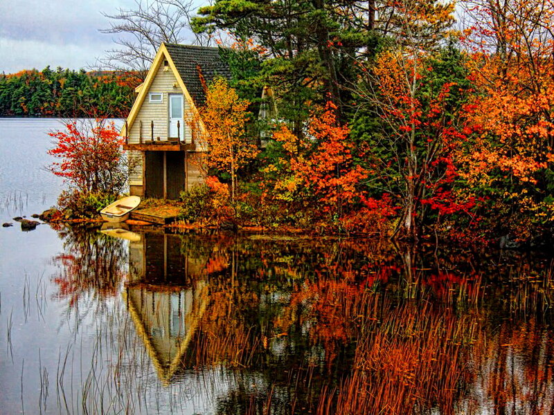 Cabin on Lake Shore — Orange
