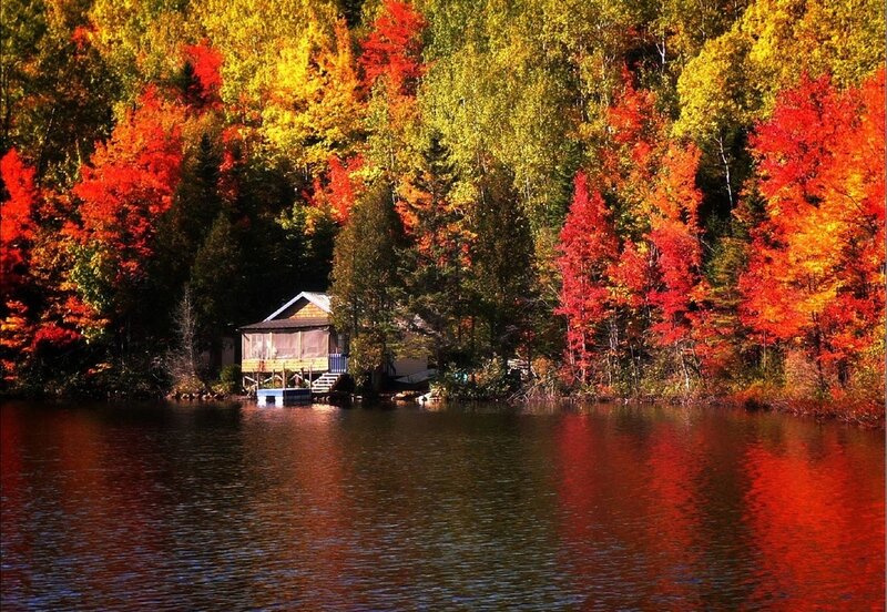 Cabin on Lake Shore