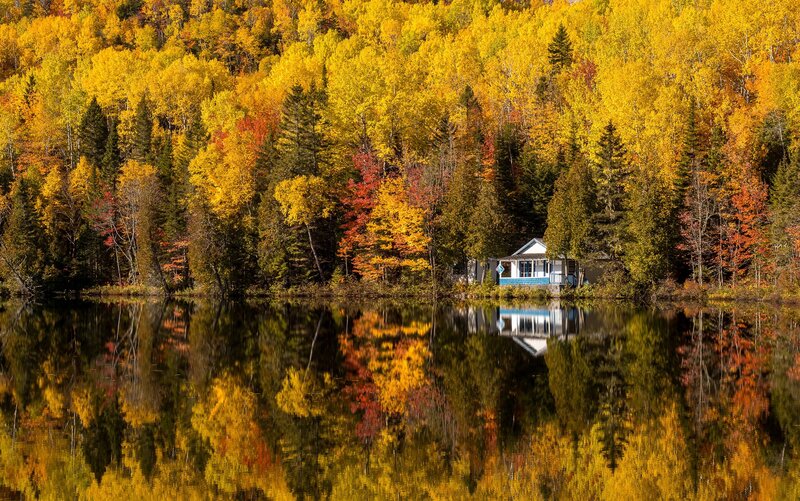 Cabin on Lake Shore — Yellow