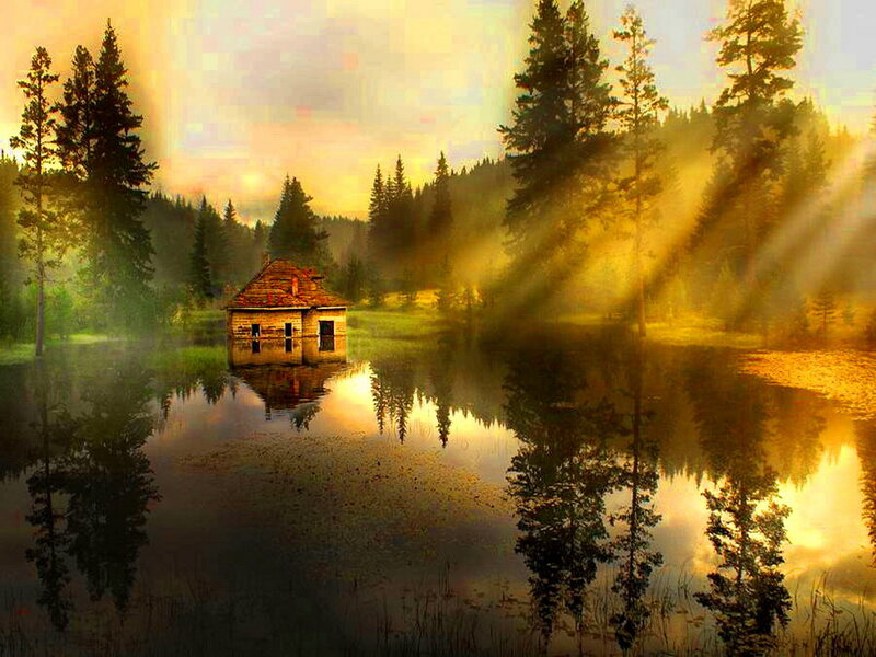 Cabin on Lake