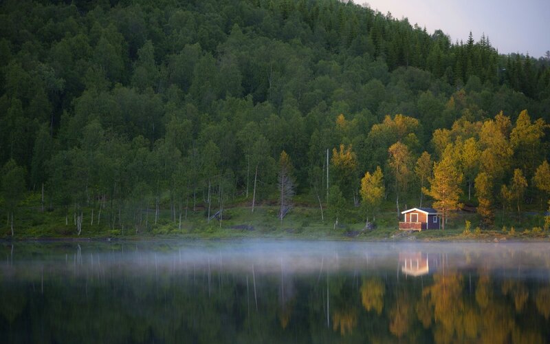 Cabin on Lakeshore — Green, Serene