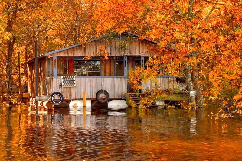 Cabin on Stilts