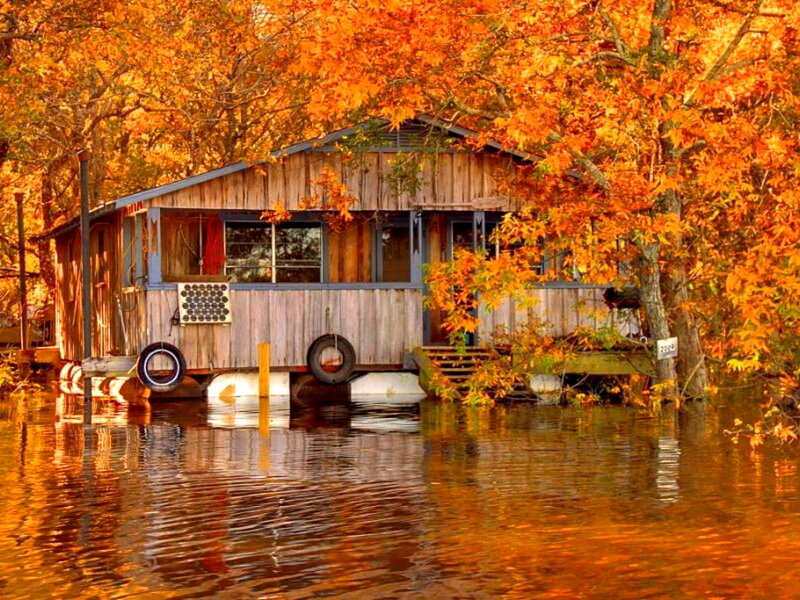 Cabin on Water