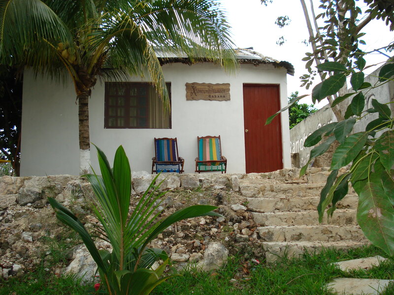 Cabin with palm trees