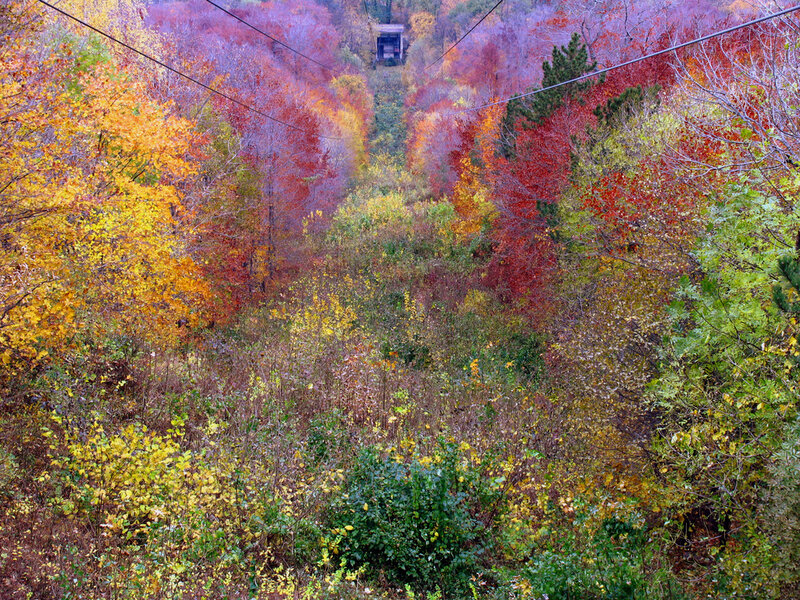 Cable Car in Autumn Forest