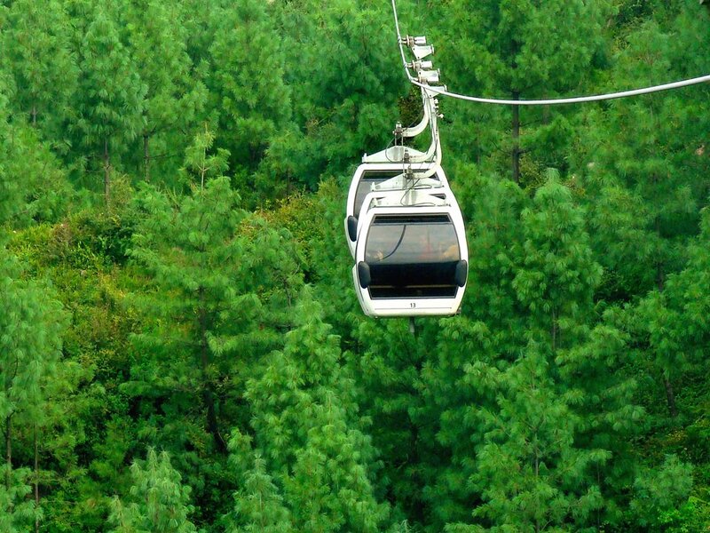 Cable Car over Forest