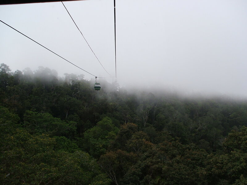 Cable car over misty forest