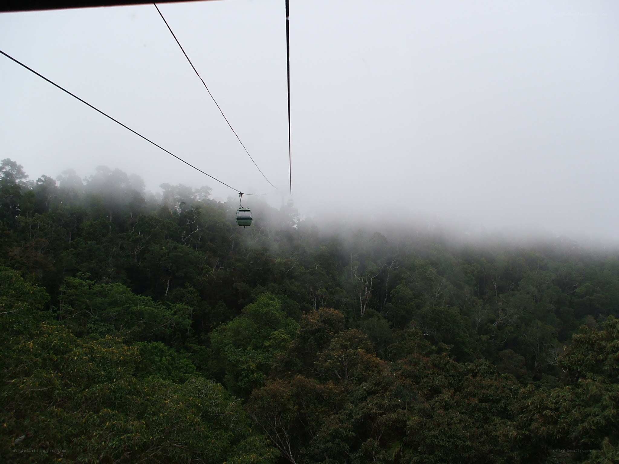 Cable car over misty forest